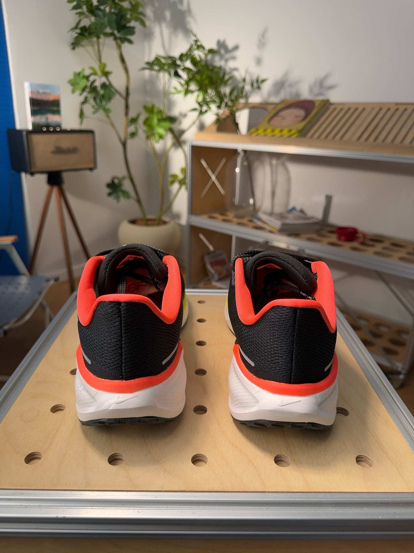 Nike Jordan